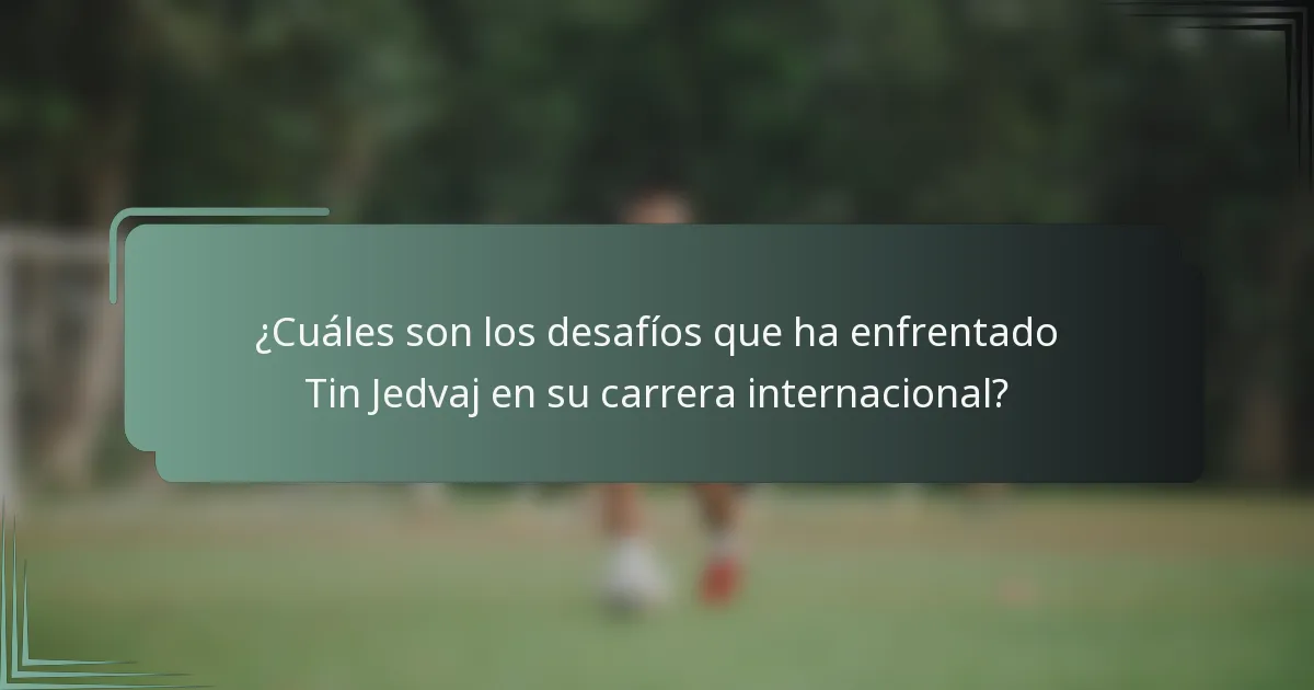 ¿Cuáles son los desafíos que ha enfrentado Tin Jedvaj en su carrera internacional?