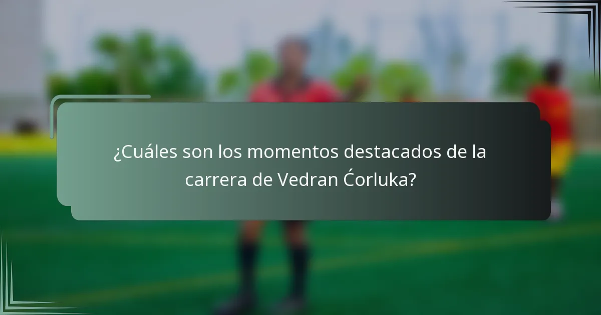 ¿Cuáles son los momentos destacados de la carrera de Vedran Ćorluka?